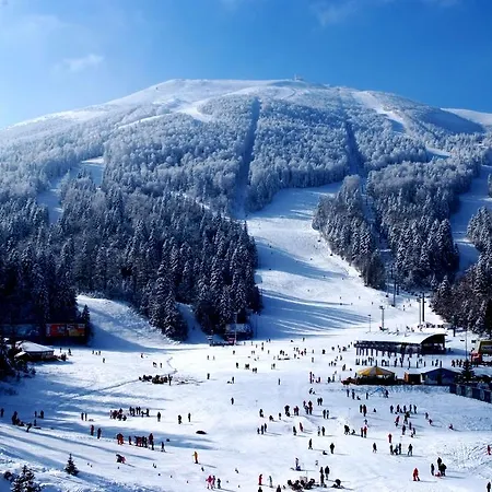 Engadin'S 2Bdr Apartment The View Апартаменты